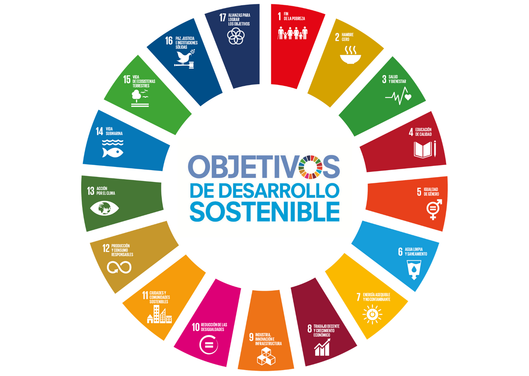 ODS Actividades complementarias que contribuyen a conseguir los Objetivos de Desarrollo Sostenible de la Agenda 2030